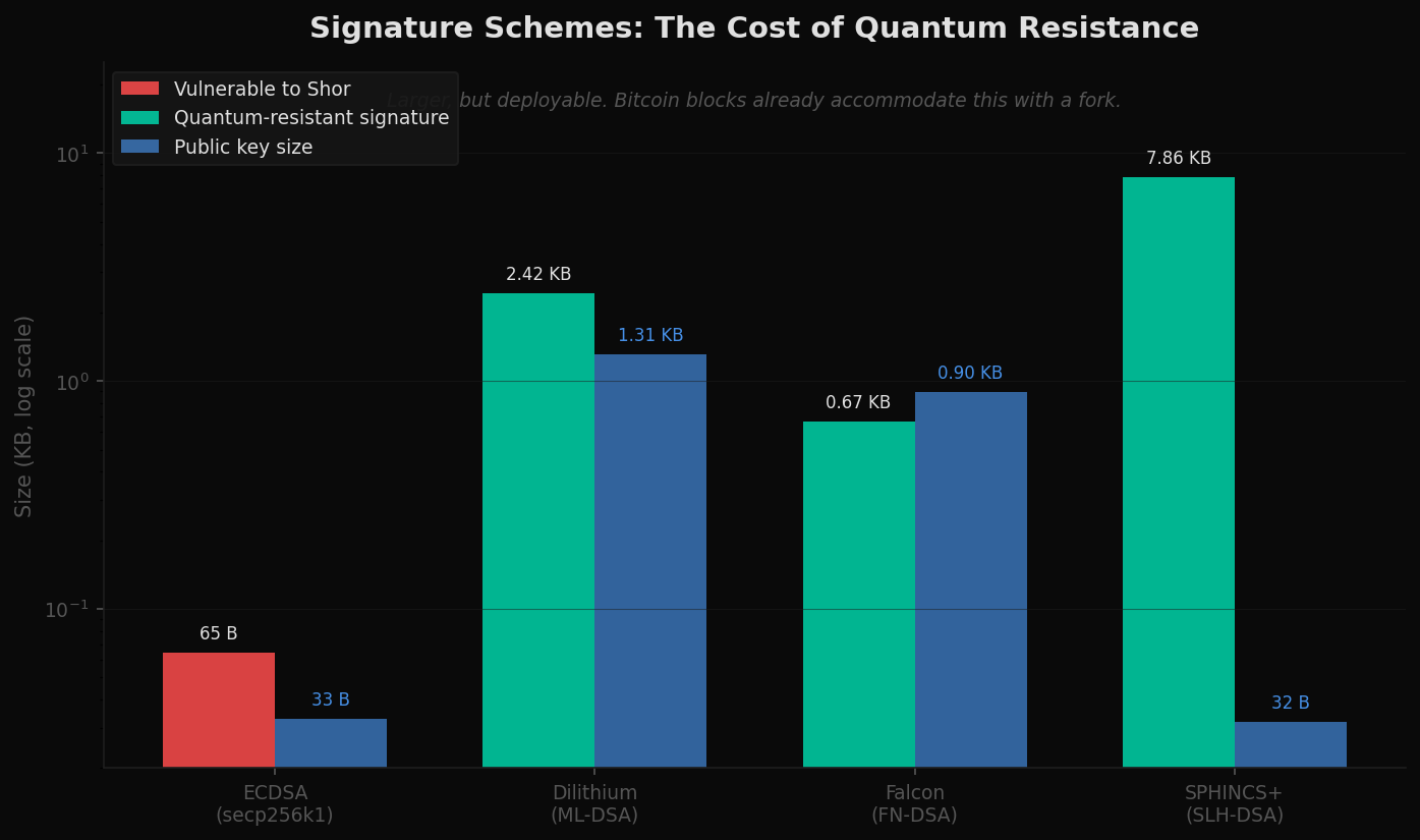 Bar chart comparing signature and public key sizes for ECDSA, Dilithium, Falcon, SPHINCS+